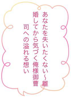 あなたを失いたくない〜離婚してから気づく俺様御曹司への溢れる想い