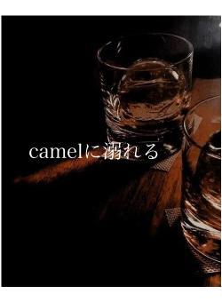 camelに溺れる