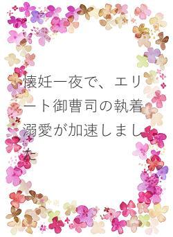 懐妊一夜で、エリート御曹司の執着溺愛が加速しました