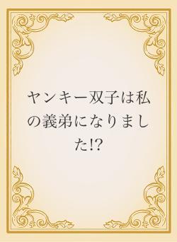 ヤンキー双子は私の義弟になりました!?