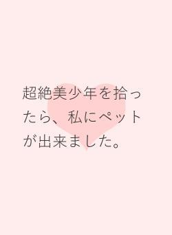 超絶美少年を拾ったら、私にペットが出来ました。