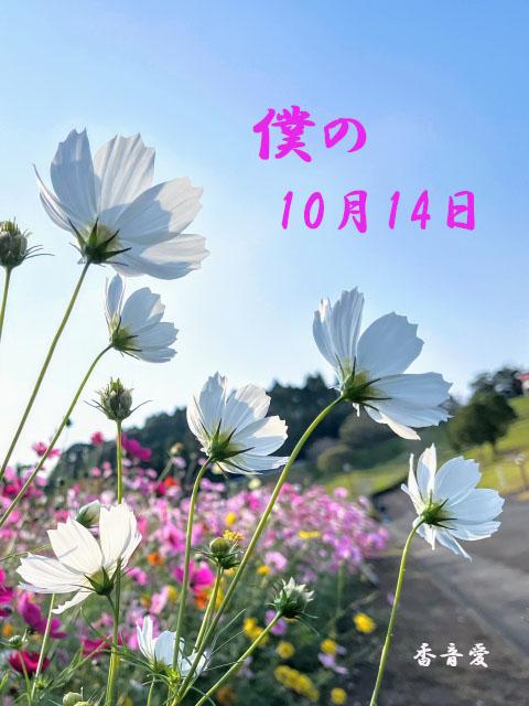 僕の10月14日