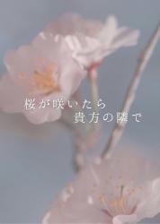 桜が咲いたら貴方の隣で