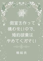 側室を作って構わないので、婚約破棄はやめてください