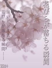 [短]花びらが落ちる瞬間